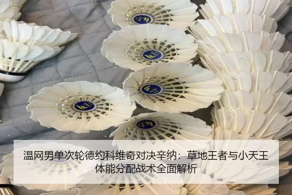 wen-wang-nan-dan-ci-lun-de-yue-ke-wei-qi-dui-jue-xin-na-cao-di-wang-zhe-yu-xiao-tian-wang-ti-neng-fen-pei-zhan-shu-quan-2-581.jpg